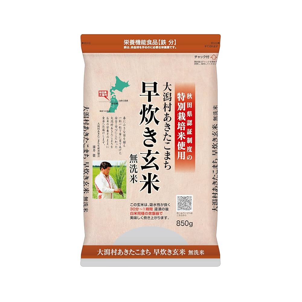お米(玄米) 安心米 しょうがご飯（玄米入り） 100g×15袋／箱